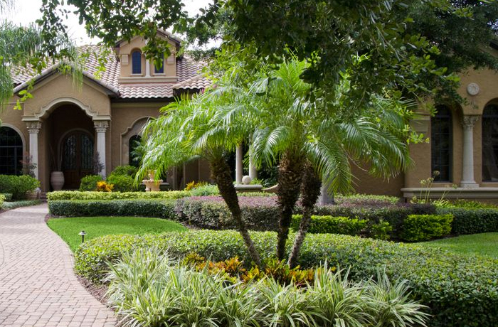 Tampa Bay, FL Landscape drainage solutions